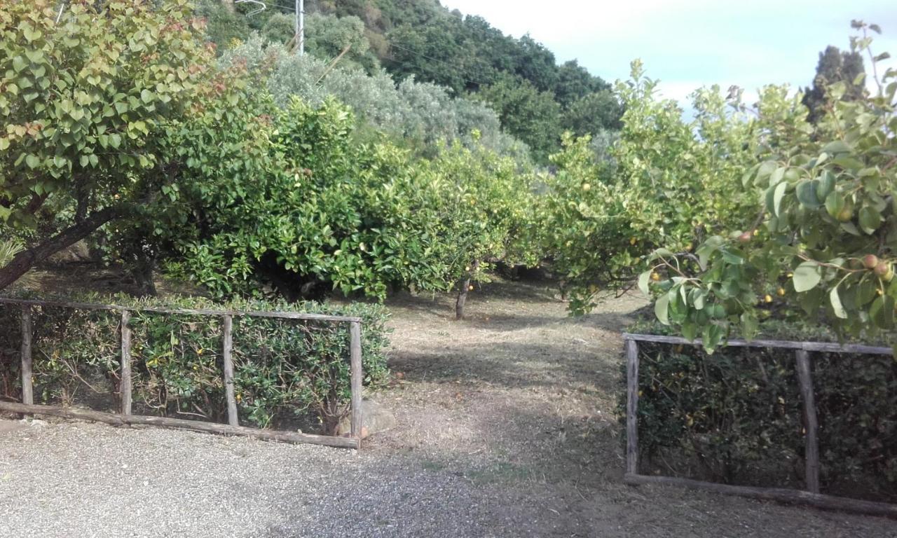 B&B Il Giardino Di Zefiro Gioiosa Marea Luaran gambar