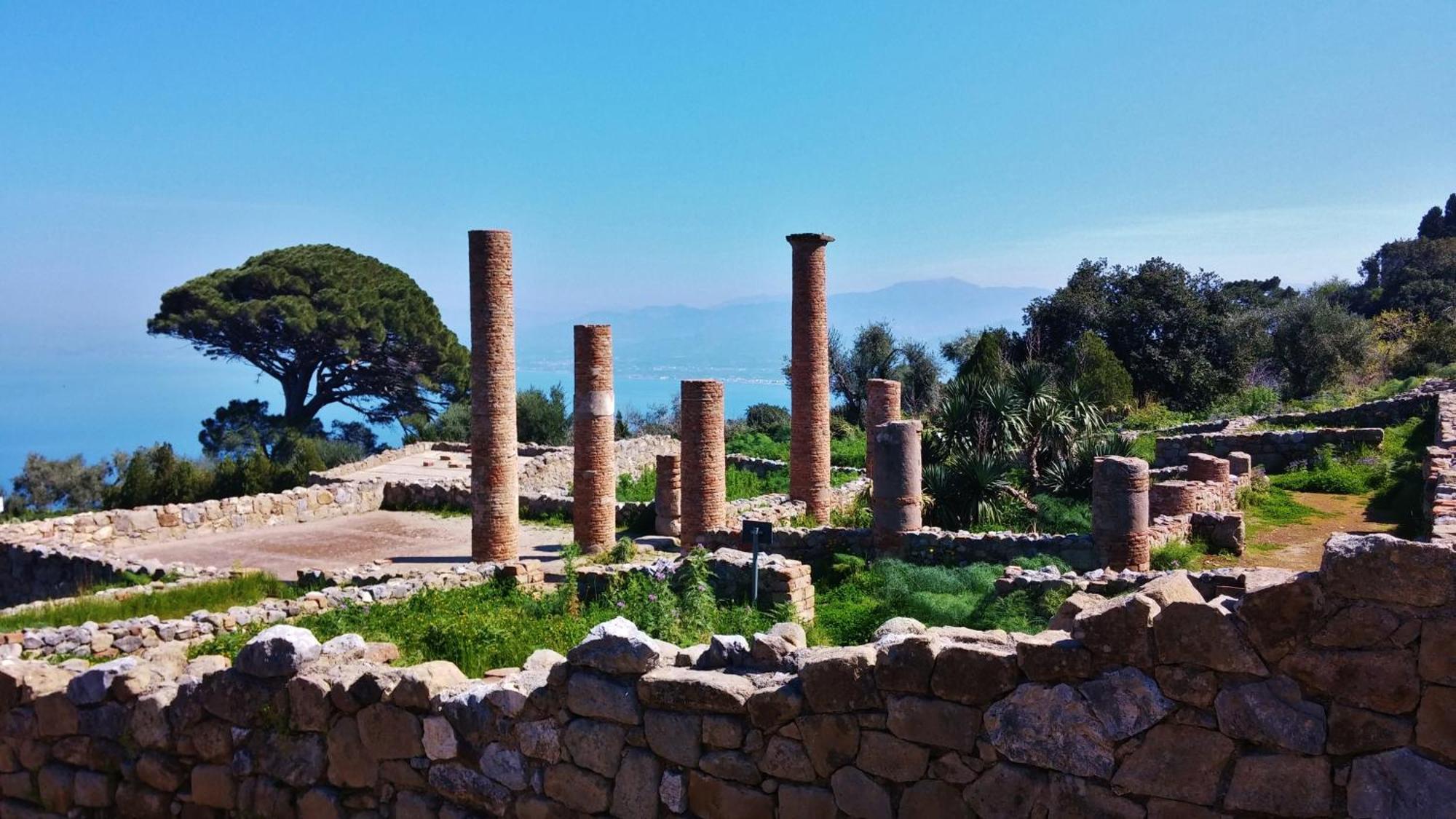 B&B Il Giardino Di Zefiro Gioiosa Marea Luaran gambar