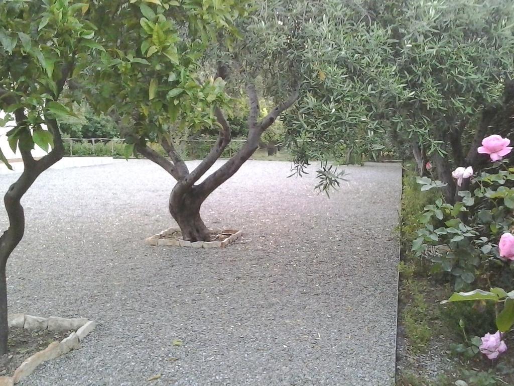 B&B Il Giardino Di Zefiro Gioiosa Marea Luaran gambar